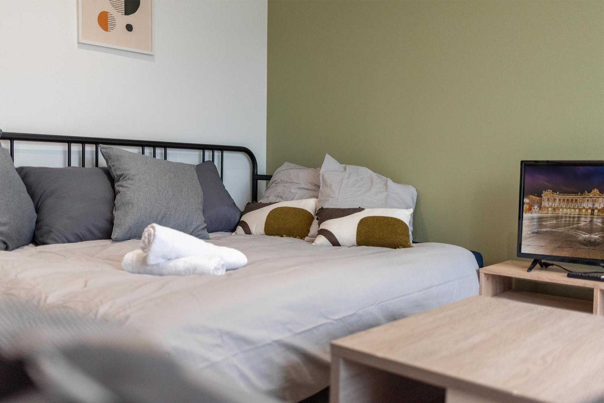 Spacieux T3 Avec 2 Parkings Gratuits Et 2 Balcons Тулуза Экстерьер фото